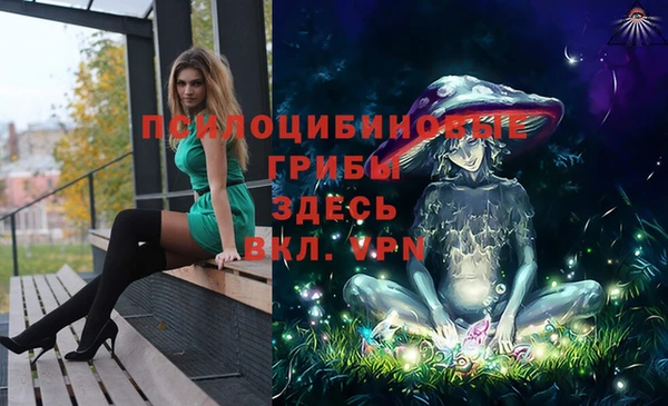 эйфоретик Гусиноозёрск