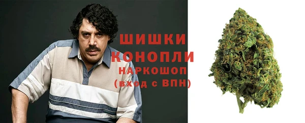 крисы Гусь-Хрустальный