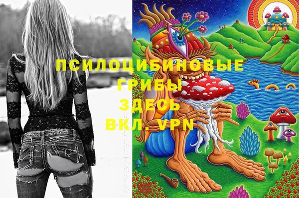 крисы Гусь-Хрустальный