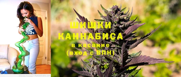 эйфоретик Гусиноозёрск