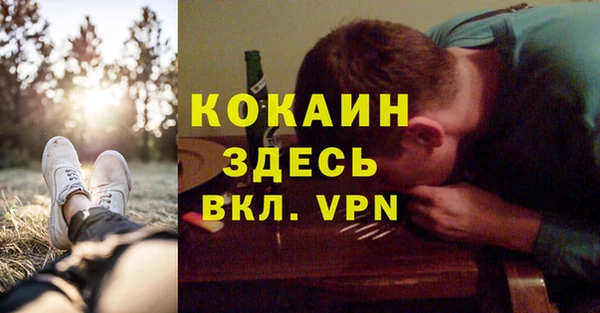 мескалин Гусев