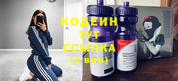 крисы Гусь-Хрустальный