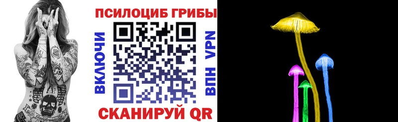 Купить закладки  Киржач  Псилоцибиновые грибы ЛСД 